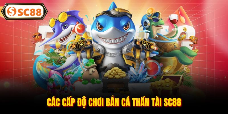 Bắn Cá Thần Tài SC88 - Săn Kho Báu Dưới Đại Dương Xanh