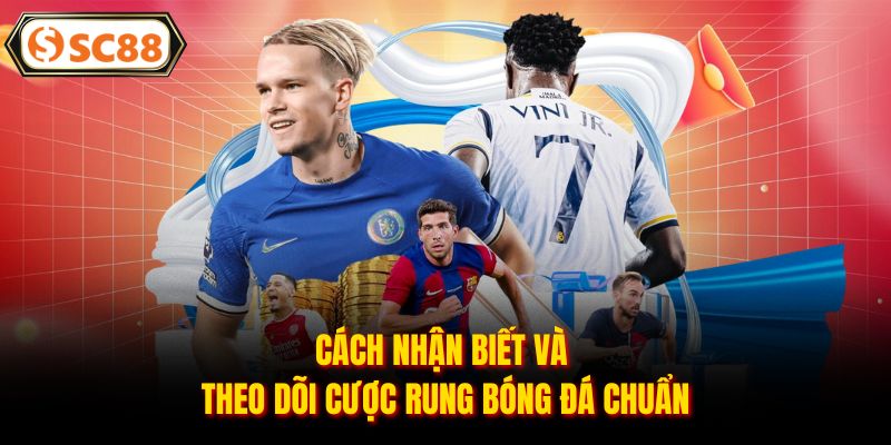 Kèo Rung - Hình Thức Cá Cược Hấp Dẫn, Đáng Thử 1 Lần Tại SC88