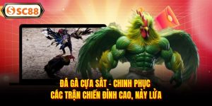 Đá Gà SC88 - Đấu Trường Rực Lửa, Kèo Thơm Mỗi Ngày