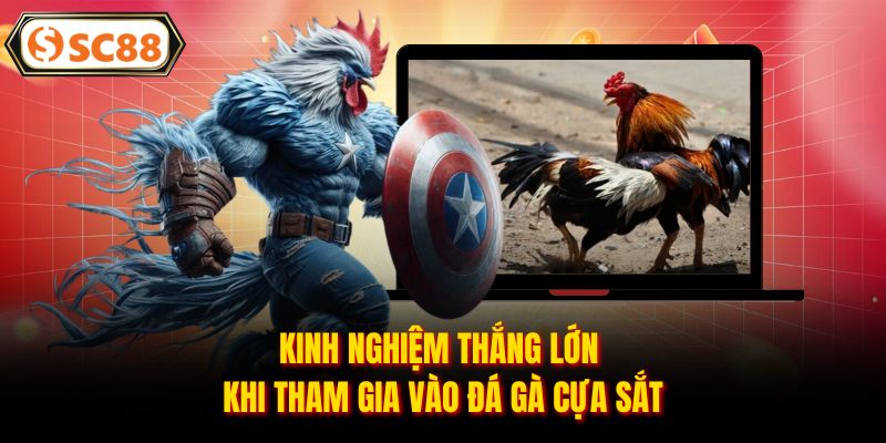 Đá Gà Cựa Sắt - Chinh Phục Các Trận Chiến Đỉnh Cao, Nảy Lửa