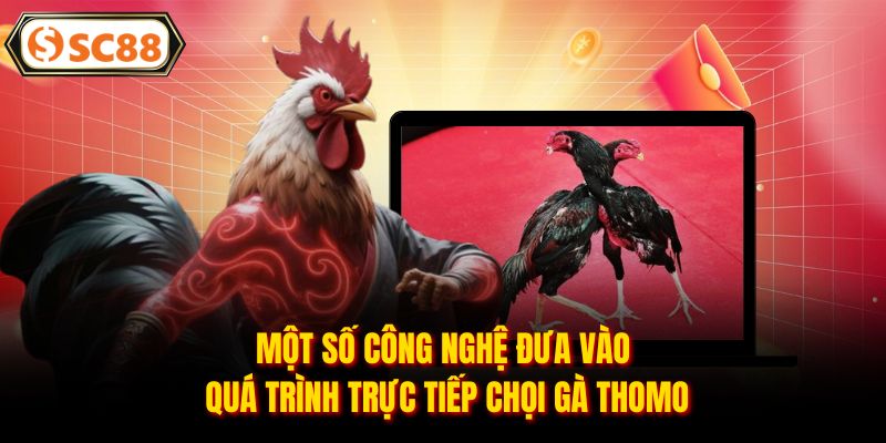 Trực Tiếp Đá Gà Thomo - Sân Chơi Giải Trí Đình Đám Hiện Nay