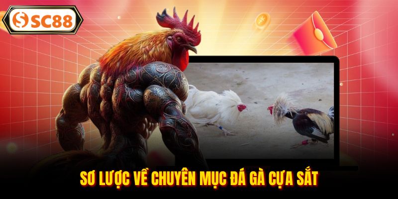Đá Gà Cựa Sắt - Chinh Phục Các Trận Chiến Đỉnh Cao, Nảy Lửa