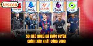 Thể Thao SC88 - Đam Mê Cá Cược Thể Thao Đỉnh Cao 2026