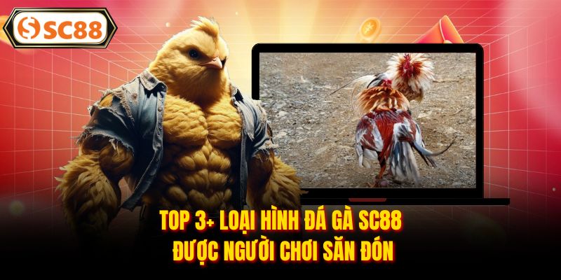 Đá Gà SC88 - Đấu Trường Rực Lửa, Kèo Thơm Mỗi Ngày
