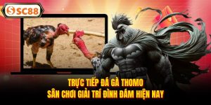 Đá Gà SC88 - Đấu Trường Rực Lửa, Kèo Thơm Mỗi Ngày