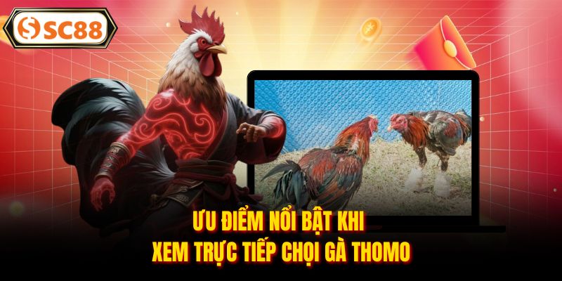 Trực Tiếp Đá Gà Thomo - Sân Chơi Giải Trí Đình Đám Hiện Nay