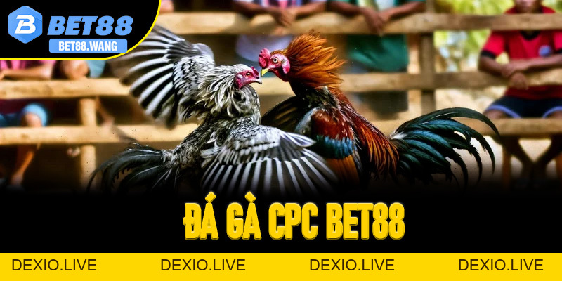 Đá Gà CPC Bet88: Nơi Các Kê Thủ Top Đầu Đông Nam Á Tranh Tài - 99win.uk.com