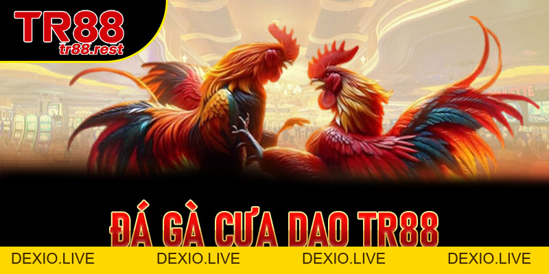 Đá Gà Cựa Dao TR88 Là Gì? Luật Chơi Và Cách Tham Gia Chi Tiết  - 99win.uk.com